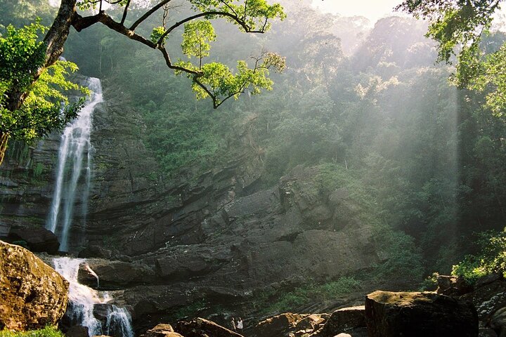 Sinharaja Forest