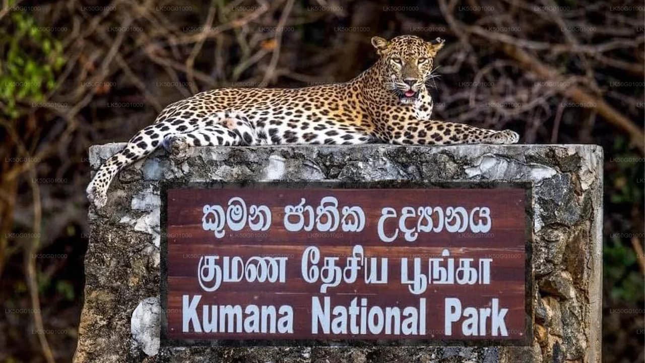 Kumana National Park