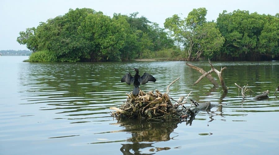 Pottuvil Lagoon