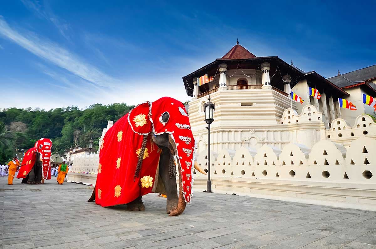 Temple of the Sacred Tooth