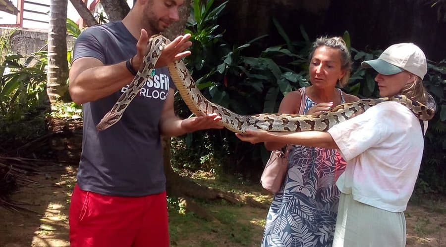 Snake Farm