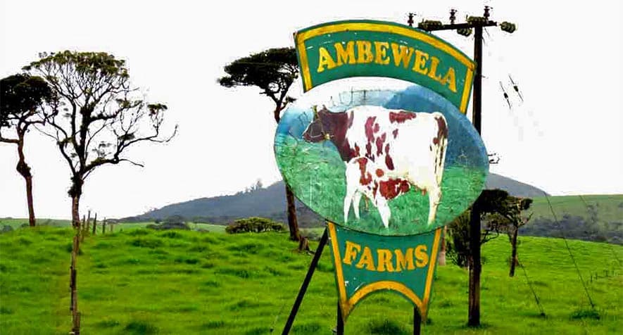 Ambewela Farm