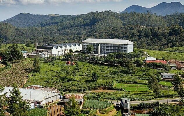 Pedro Tea Estate