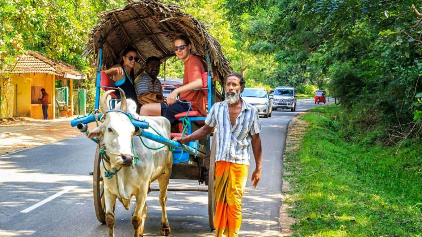 Village Safari
